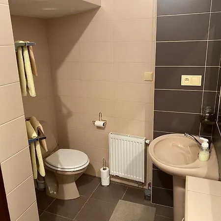 בית הארחה Kotrba Privat טלץ'